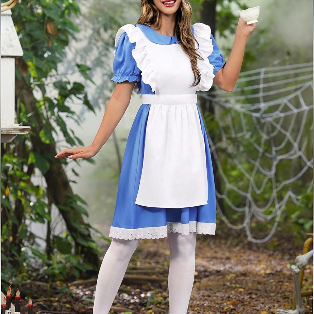 Alice in Wonderland costume.  Women’s.  Size small.